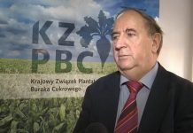 Kazimierz Kobza