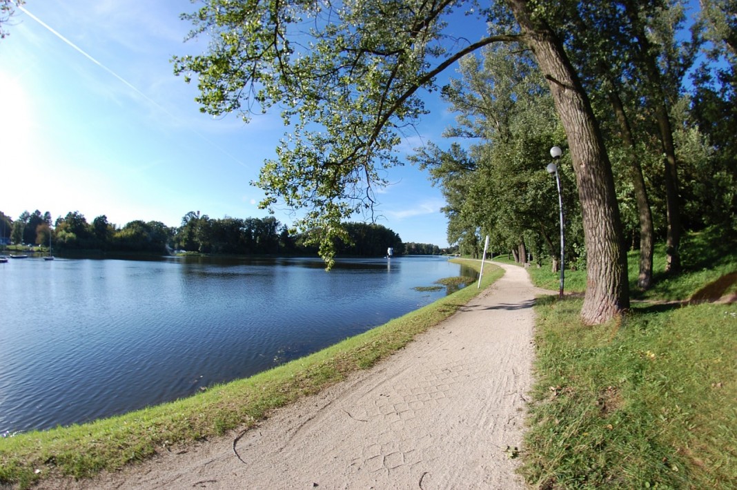 the-path-296219_1280