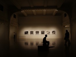 galeria obrazy wystawa