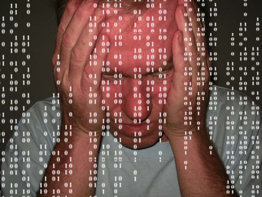 programista