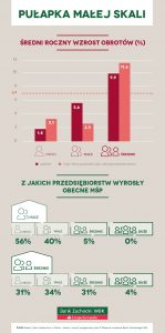 Polskie mikroprzedsiębiorstwa nie rosną