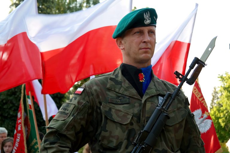Polska jedynym krajem europejskim, który do 2020 roku planuje znacząco zwiększyć budżet na obronność