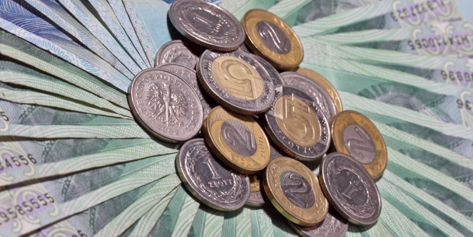 złoty
