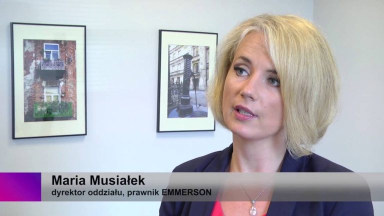 Kompleksowość usług dla deweloperów