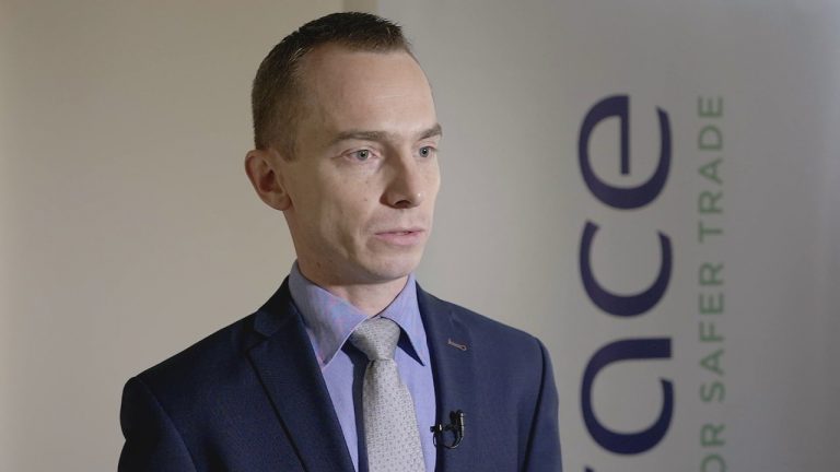 Grzegorz Sielewicz: Brexit ograniczy polski eksport