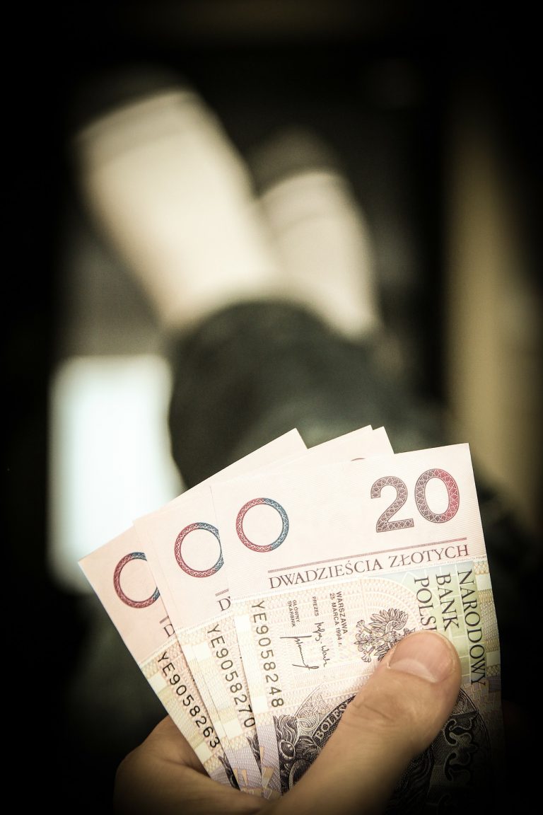 Strategia zarządzania długiem sektora finansów publicznych w latach 2011-2014