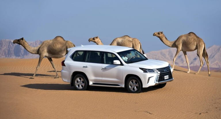 Lexus kontra BMW – pojedynek marek w US News and World Report