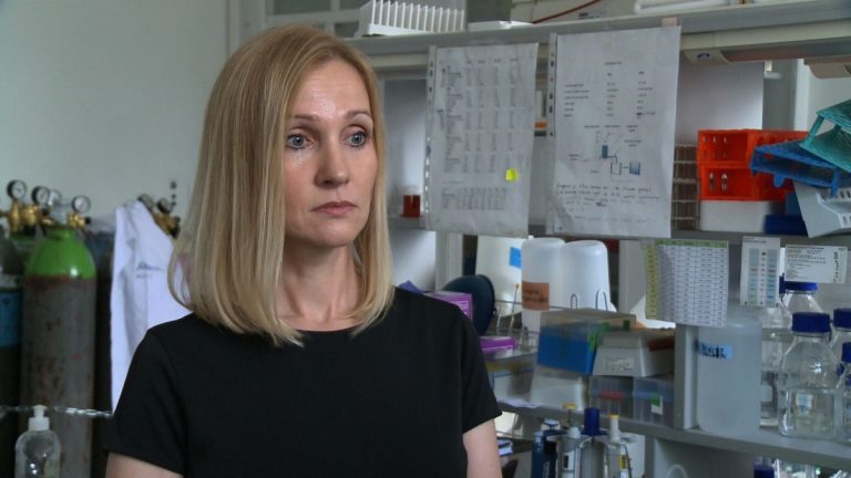 Polskie firmy i instytuty badawcze otwierają się na naukowców z całego świata. Ich obecność wpływa na rozwój innowacyjności polskiej gospodarki