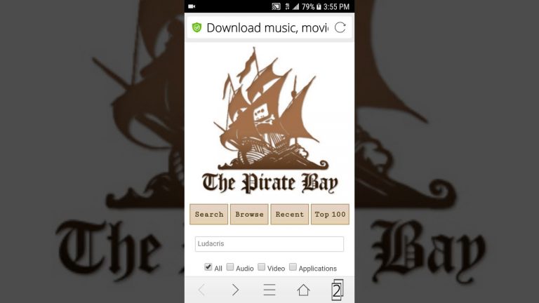 Kres torrentów? Wyrok w sprawie The Pirate Bay