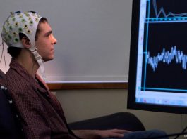 neurologia, urządzenia neurologiczne, interfejs mózg- komputer, funkcje poznawcze mózgu, neurorestauracja, odtwarzanie uszkodzeń mózgu