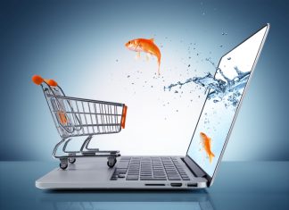 goldfish in cart – e-commerce concept