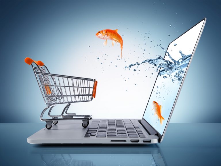 E-commerce z tarczą. Wpływ pandemii na zachowania zakupowe Polaków