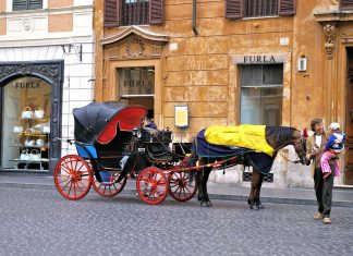 carriage-657937_1920