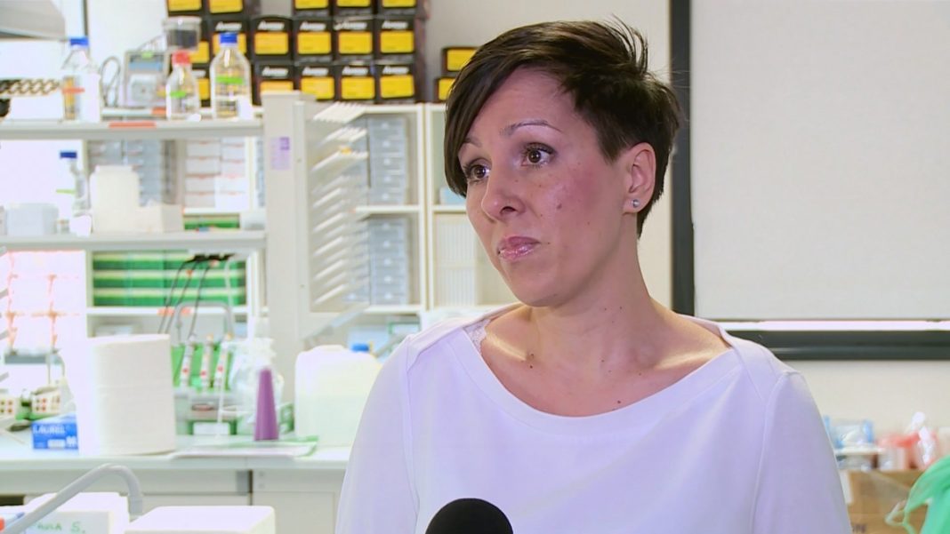 Polscy naukowcy opracowują nową formę immunoterapii. Jej celem będzie całkowita eliminacja komórek rakowych