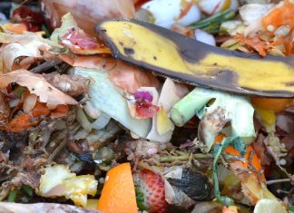 jedzenie stare żywność śmieci