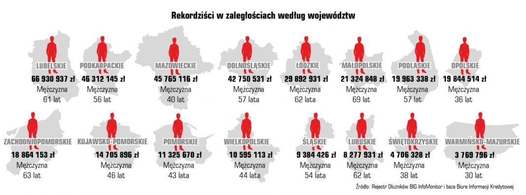 Indeks Zaległych Płatności Polaków 8