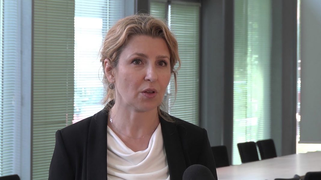 Halina Kochalska, ekspert BIG InfoMonitor
