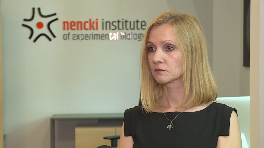 Polscy naukowcy wraz z globalnym koncernem pracują nad dokładnym poznaniem funkcji mózgu. Może to zrewolucjonizować diagnostykę i leczenie wielu chorób