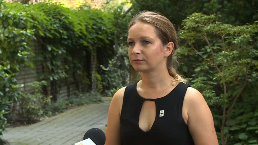 Zmiany klimatu mogą doprowadzić do ekstremalnych anomalii pogodowych w Polsce. Szansą są energetyczne innowacje jak dach solarny