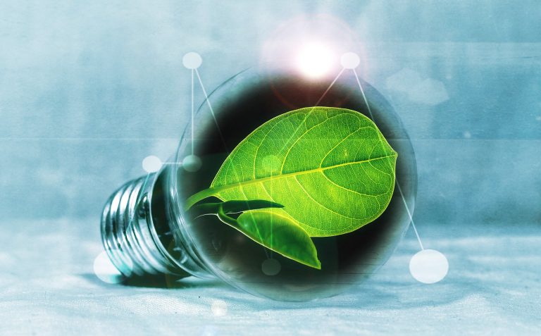 Postępująca suburbanizacja może przyczynić się do rozwoju zielonej energii