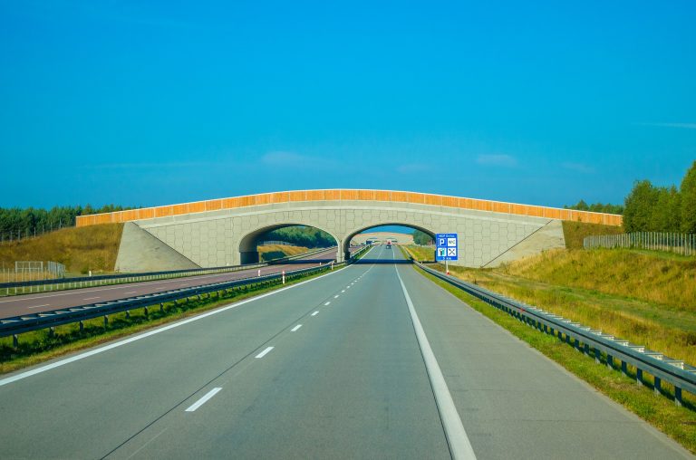 Policja odebrała 38% więcej praw jazdy w czasie pandemii