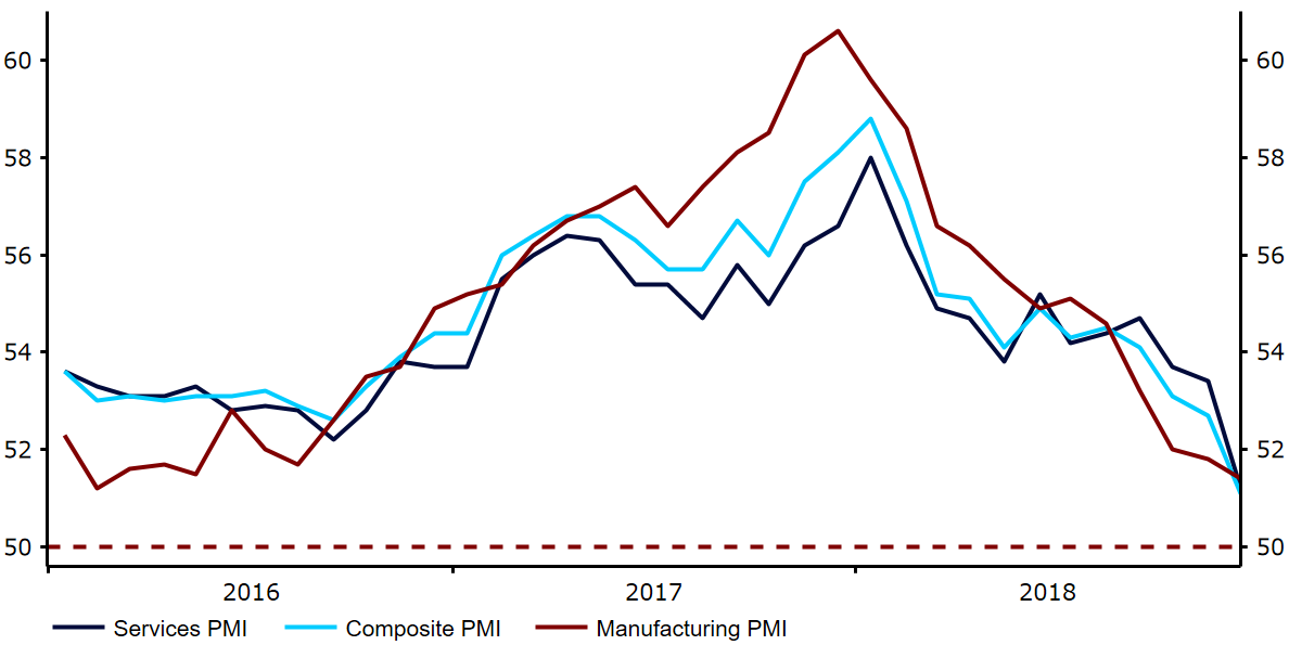 Indeksy PMI w strefie euro