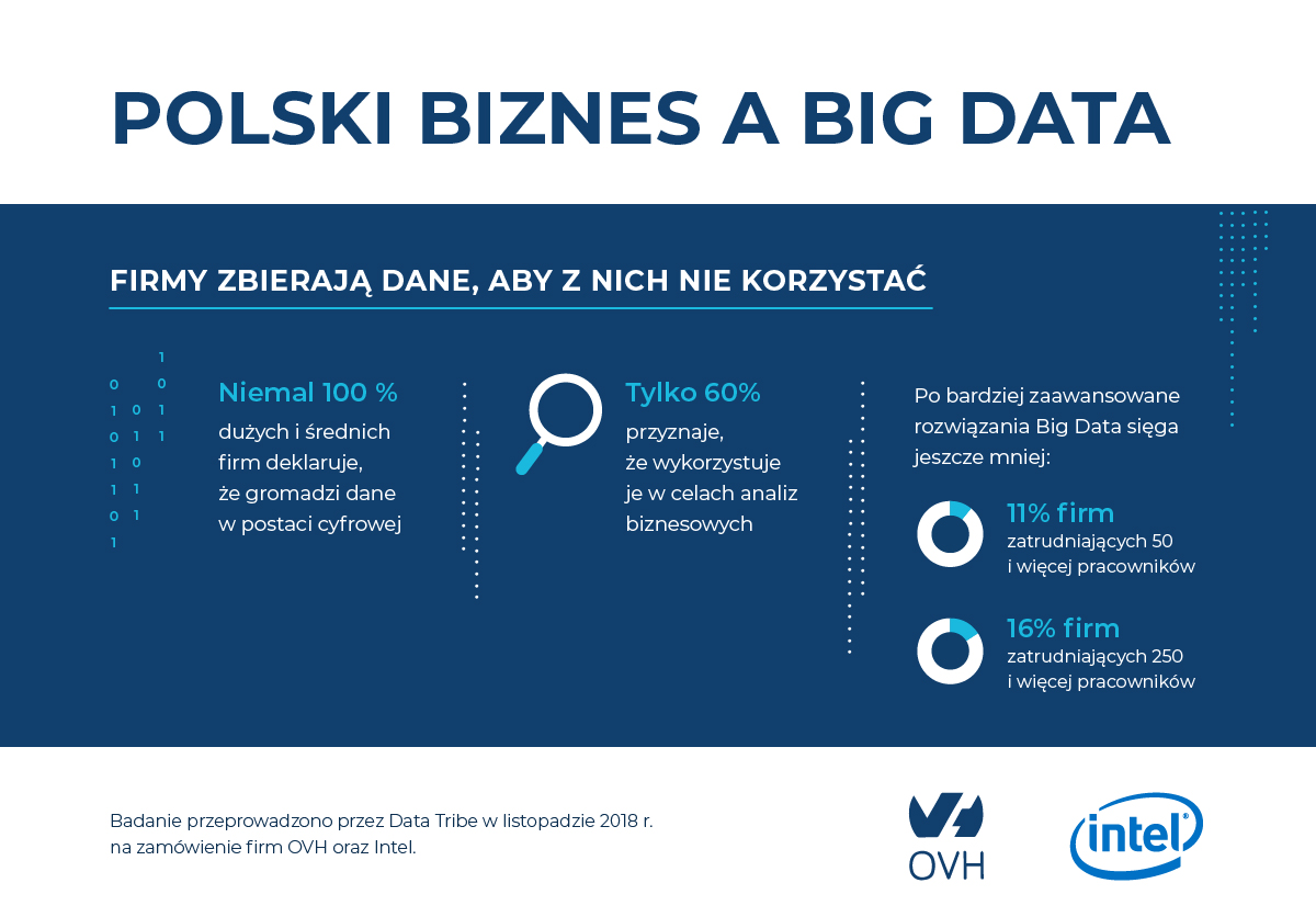 Polski_Biznes_Big_Data_OVH_01