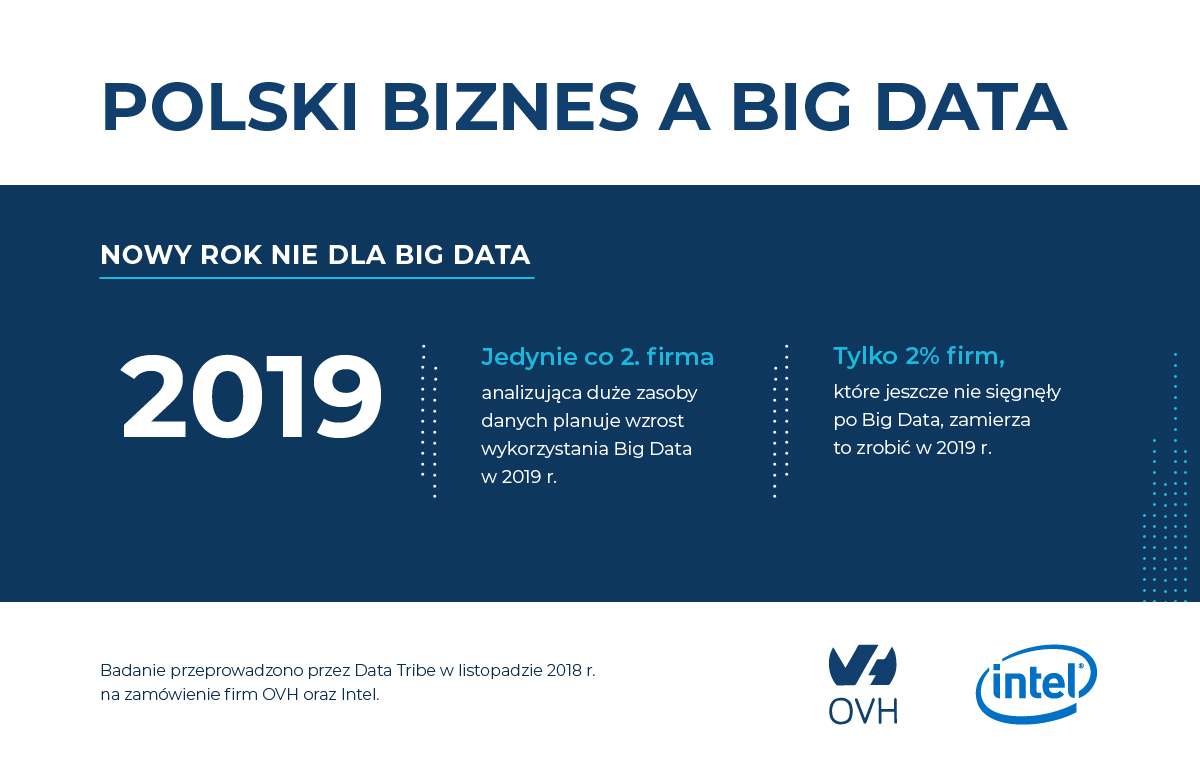 Polski_Biznes_Big_Data_OVH_02