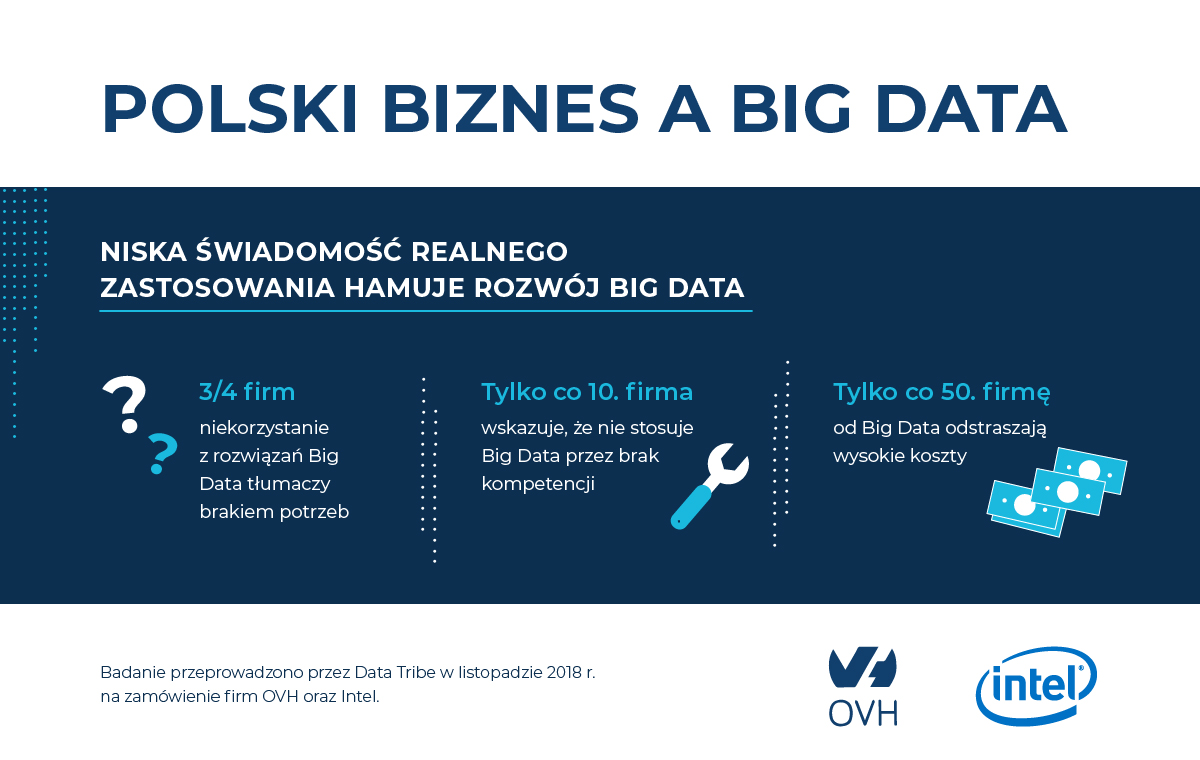 Polski_Biznes_Big_Data_OVH_03