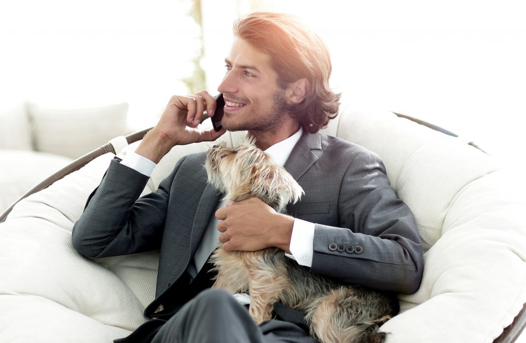 businessman holds his pet and talks on the smartphone while sitting in a comfortable chair