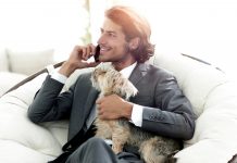 businessman holds his pet and talks on the smartphone while sitting in a comfortable chair