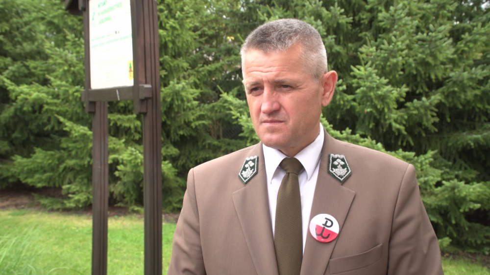 Lasy umierają z powodu suszy. Drzewa atakują korniki i rośnie ryzyko pożarowe