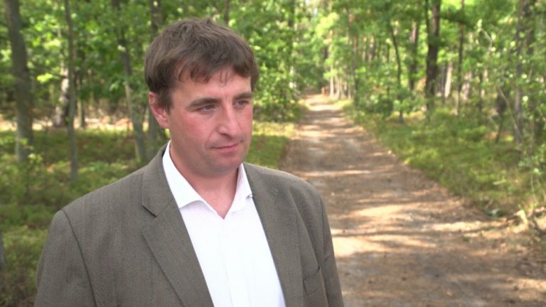 Nietoperze mają być lepiej chronione. W Polsce występuje 26 gatunków, ale ich populacja jest coraz mniejsza