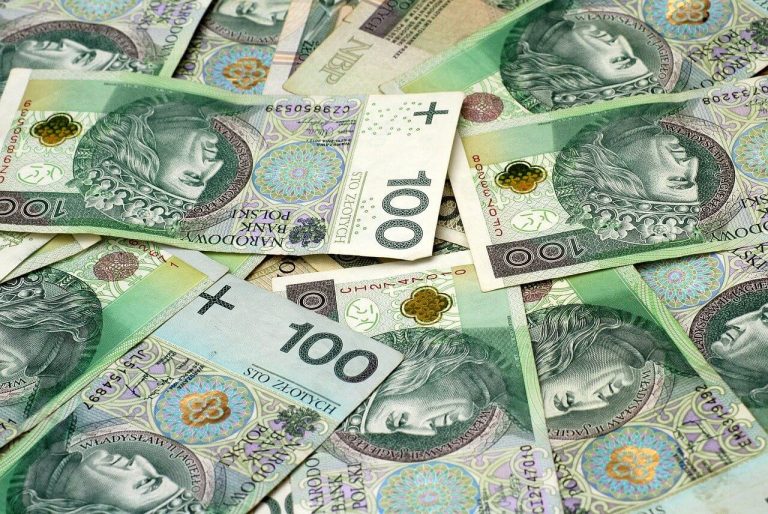Pożyczka z poręczycielem – kiedy możemy po nią sięgnąć?