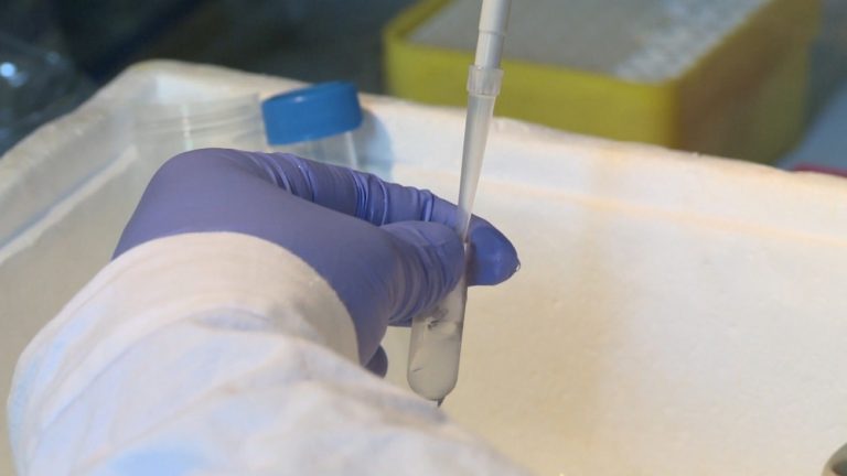 Coraz bardziej zaawansowane prace nad szczepionką na SARS-CoV-2. W wyścig z czasem włączyli się także Polacy