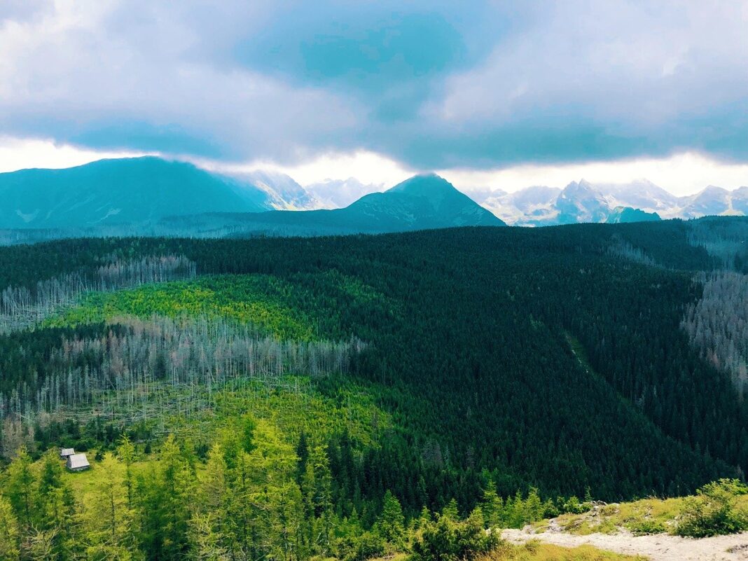 tatry gózy zakopane
