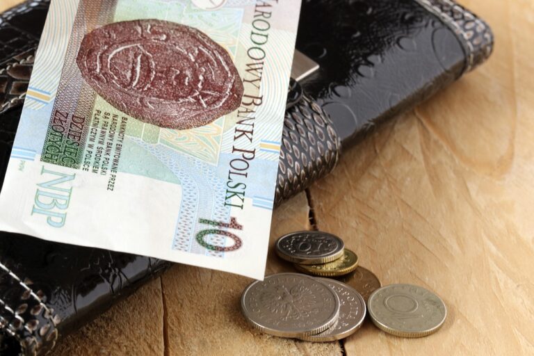 ABC Windykacji – Jak spłacić zadłużenie w czasach pandemii? PORADNIK ZPF