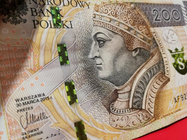 Kredyt gotówkowy online dla żółtodziobów – kompendium wiedzy
