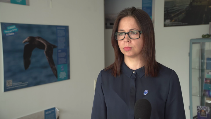 Zanieczyszczenia i nadmierne połowy zagrożeniem dla oceanów. Wiele gatunków ryb może zniknąć