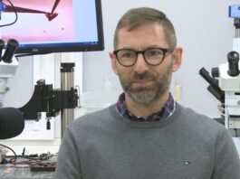 Polscy naukowcy badają interakcje koronawirusa z ludzkimi komórkami. Chcą umożliwić szybsze testowanie leków
