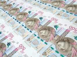 pieniądze PLN złoty druk