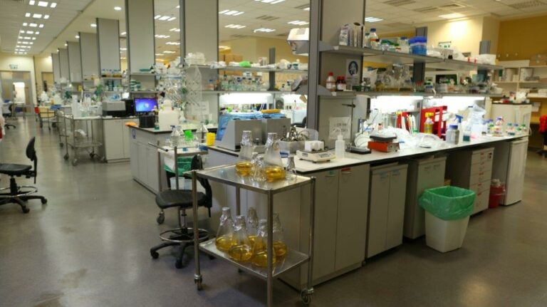 Instytut Migal Galilee wykorzystuje aplikację BIOVIA od Dassault Systèmes do badań nad szczepionką na COVID-19