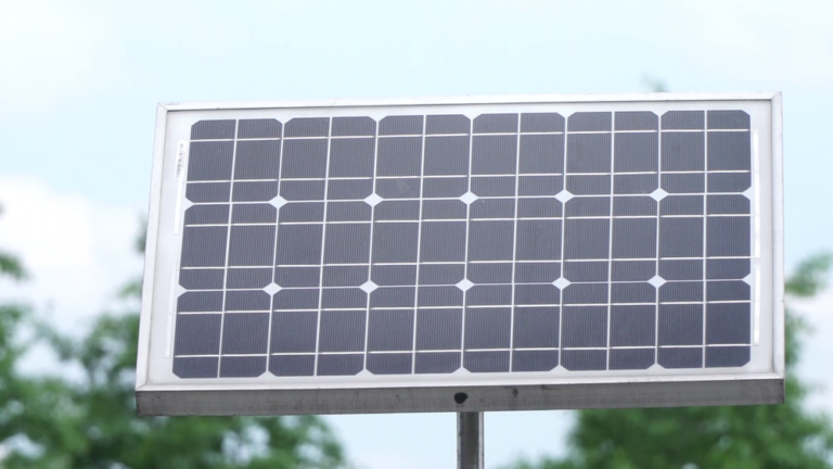 Apple do 2030 roku osiągnie neutralność klimatyczną. Największe firmy na świecie chcą pomagać innym w dekarbonizacji procesów produkcji