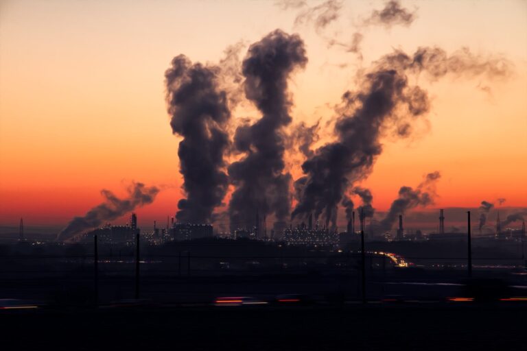 Zmiany klimatu determinują nasze zdrowie
