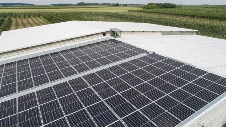 Energetyka słoneczna stała się opłacalnym biznesem. W tym roku obroty branży mają wzrosnąć o 25 proc.