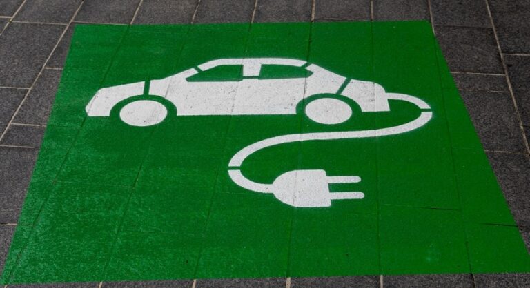 Hybrydy i elektryki hitem polskiego rynku w 2020 r.