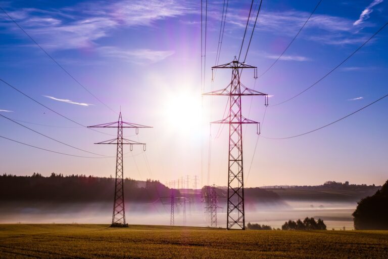 Enel X pozostaje liderem polskiego rynku DSR dzięki aukcji na 2025 rok