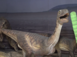 Nowa teoria naukowców z Uniwersytetu Harvarda dotycząca wyginięcia dinozaurów. Za