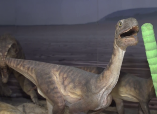 Nowa teoria naukowców z Uniwersytetu Harvarda dotycząca wyginięcia dinozaurów. Za