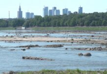 Problem niedoboru wody pitnej może się pojawić w Polsce w ciągu kilkunastu lat. Rusza właśnie największa ogólnopolska akcja sprzątania rzek [DEPESZA]